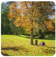 公司内部股权纠纷怎么解决,公司内部股权纠纷怎么解决最有效