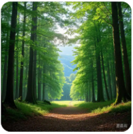 公司内部股权纠纷怎么解决,公司内部股权纠纷怎么解决最有效